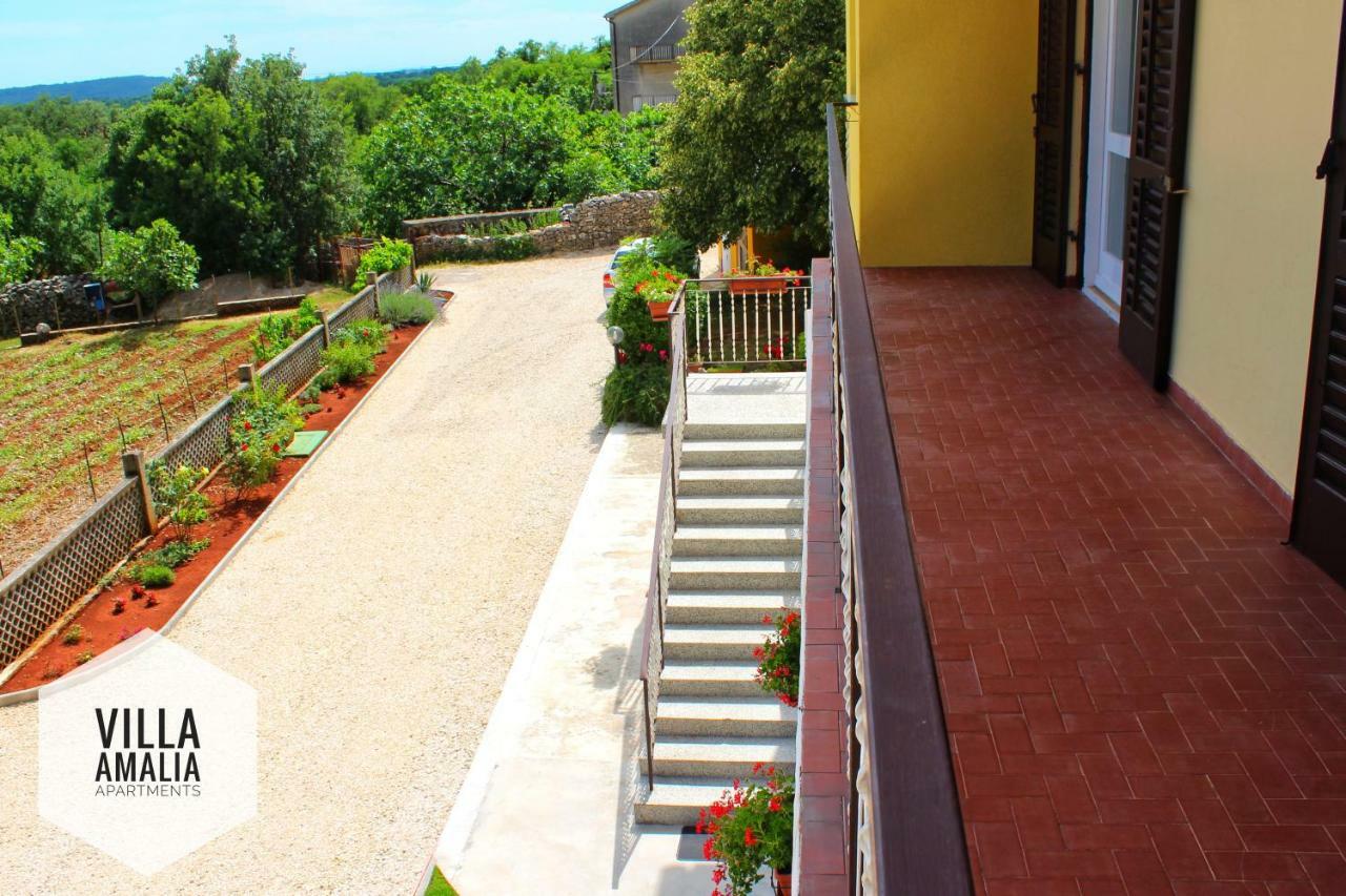 Apartment Amalia Labin  Zewnętrze zdjęcie